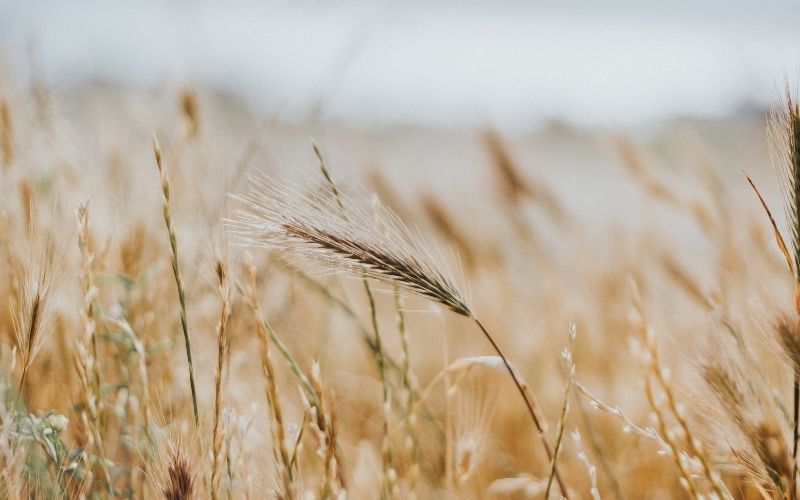 Where would I be Without Jesus?